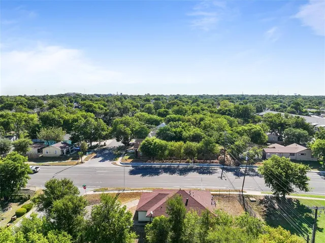 a view of a park with potted plants and a large tree