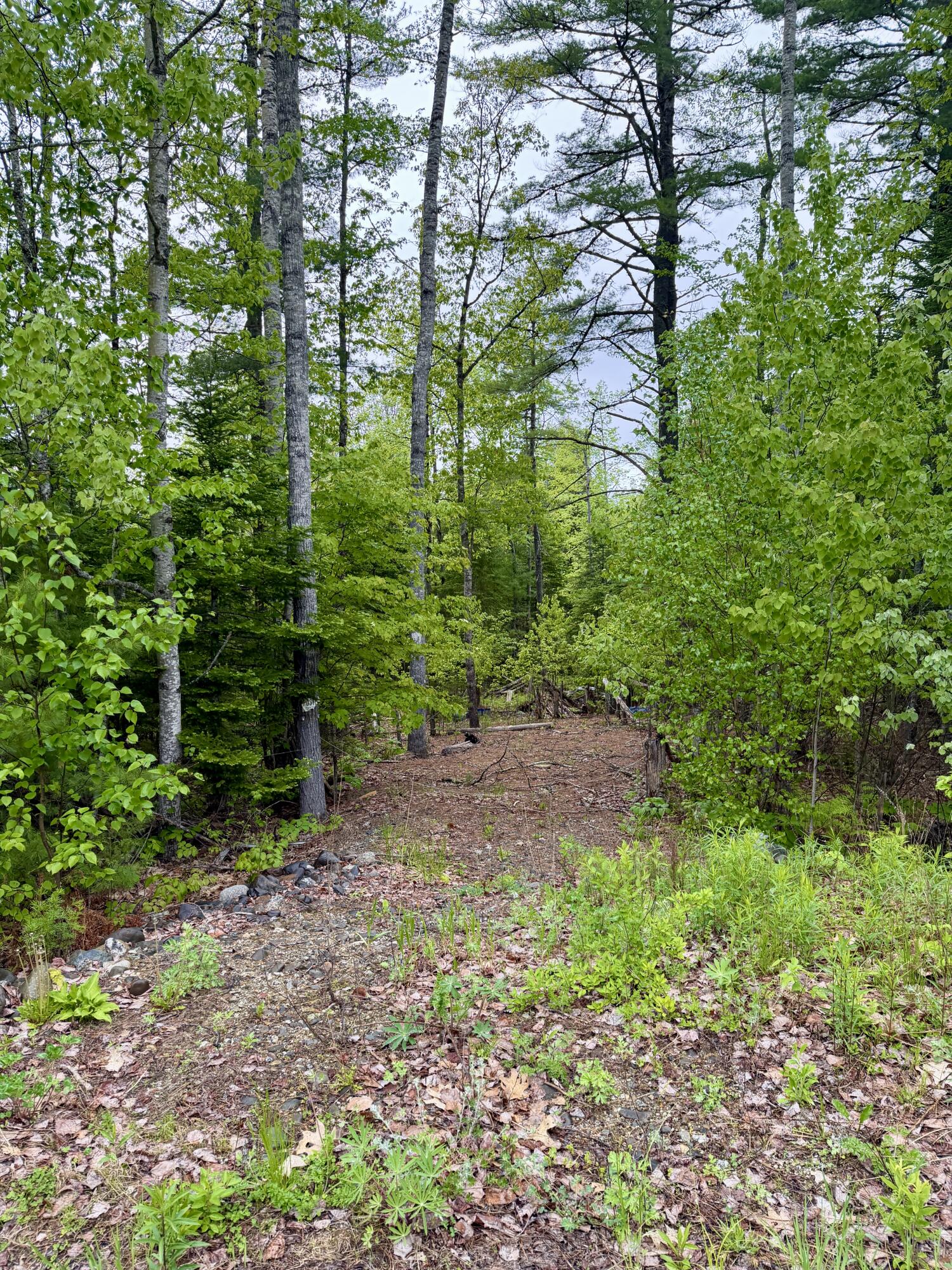 M19-l1 Airline Road Clifton, ME 04428 - Photo 6 of 9 IMG_0298