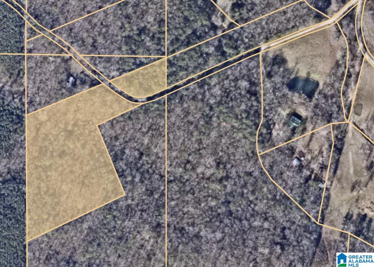 7-acres On Scott Road Montevallo, AL 35115 - Photo 3 of 24