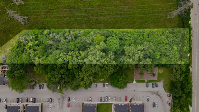 a view of a yard in front of the house