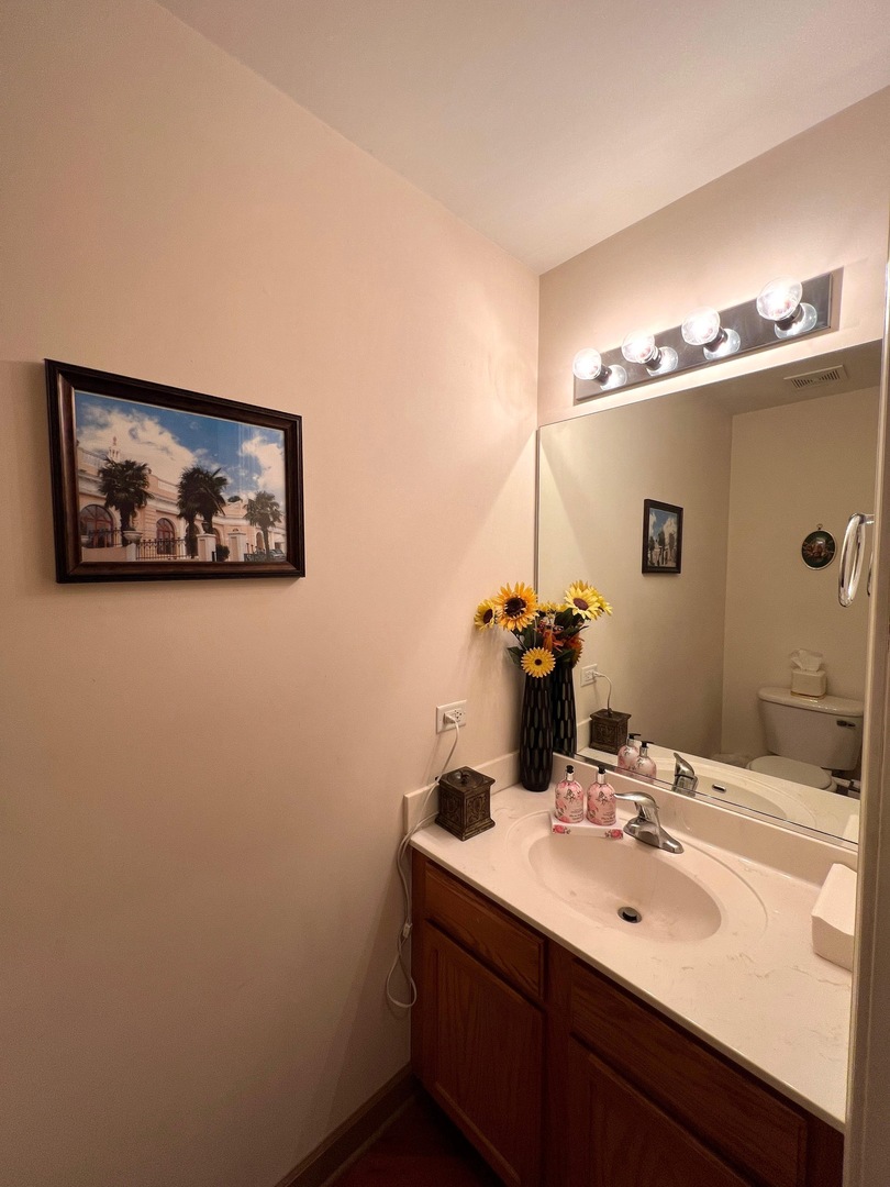 752 South Parkside Drive Round Lake, IL 60073 - Photo 29 of 38 a bathroom with a sink and a mirror