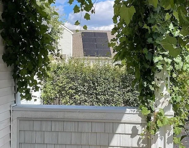 a view of a yard with plants