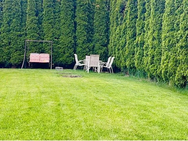 a view of a green yard