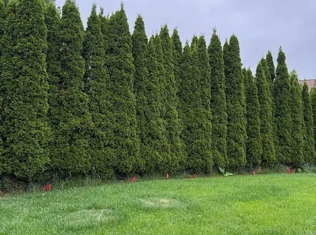 a outdoor living space with furniture