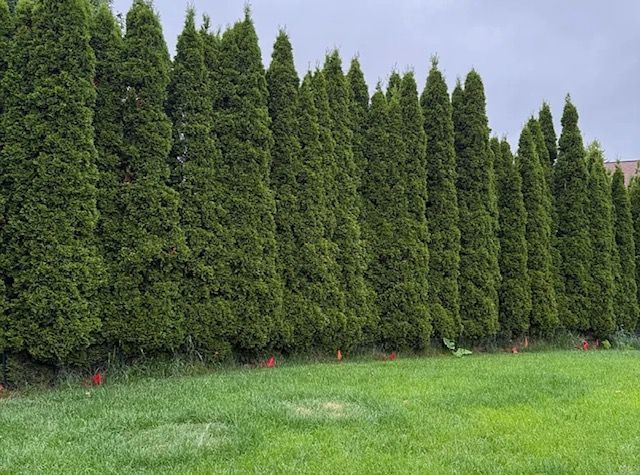 752 South Parkside Drive Round Lake, IL 60073 - Photo 36 of 38 a view of a green yard