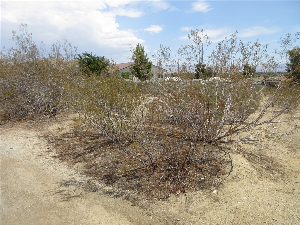 0 Kaibab Road Apple Valley, CA 92307 - Photo 1 of 1 Gallery Image 1