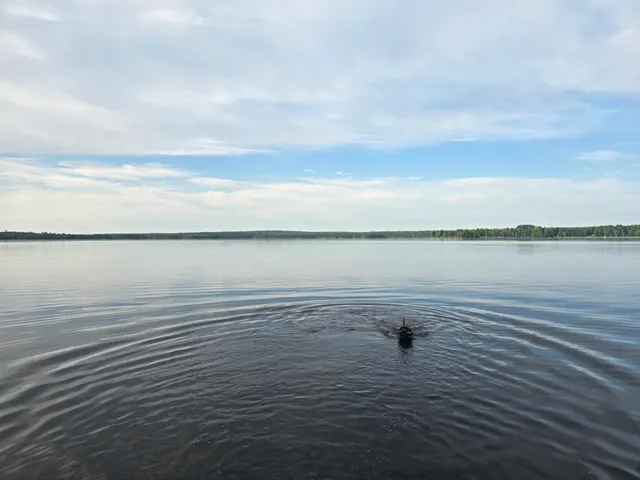 $130,000 | Lot 2 Townline Rock Rd Island Falls, Island Falls, ME 04747