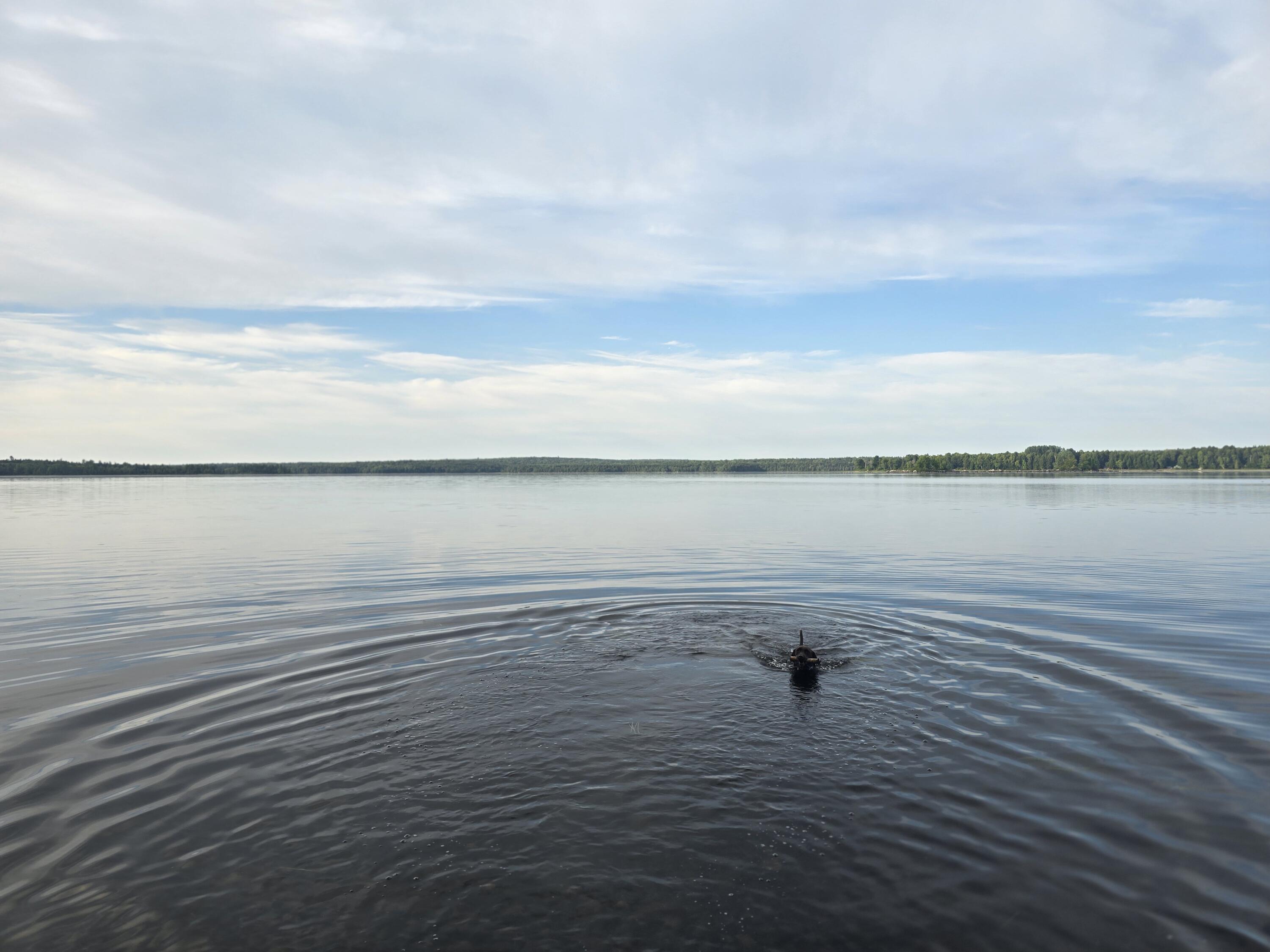 Lot 2 Townline Rock Rd Island Falls Island Falls, ME 04747 - Photo 11 of 27 20250902_073934