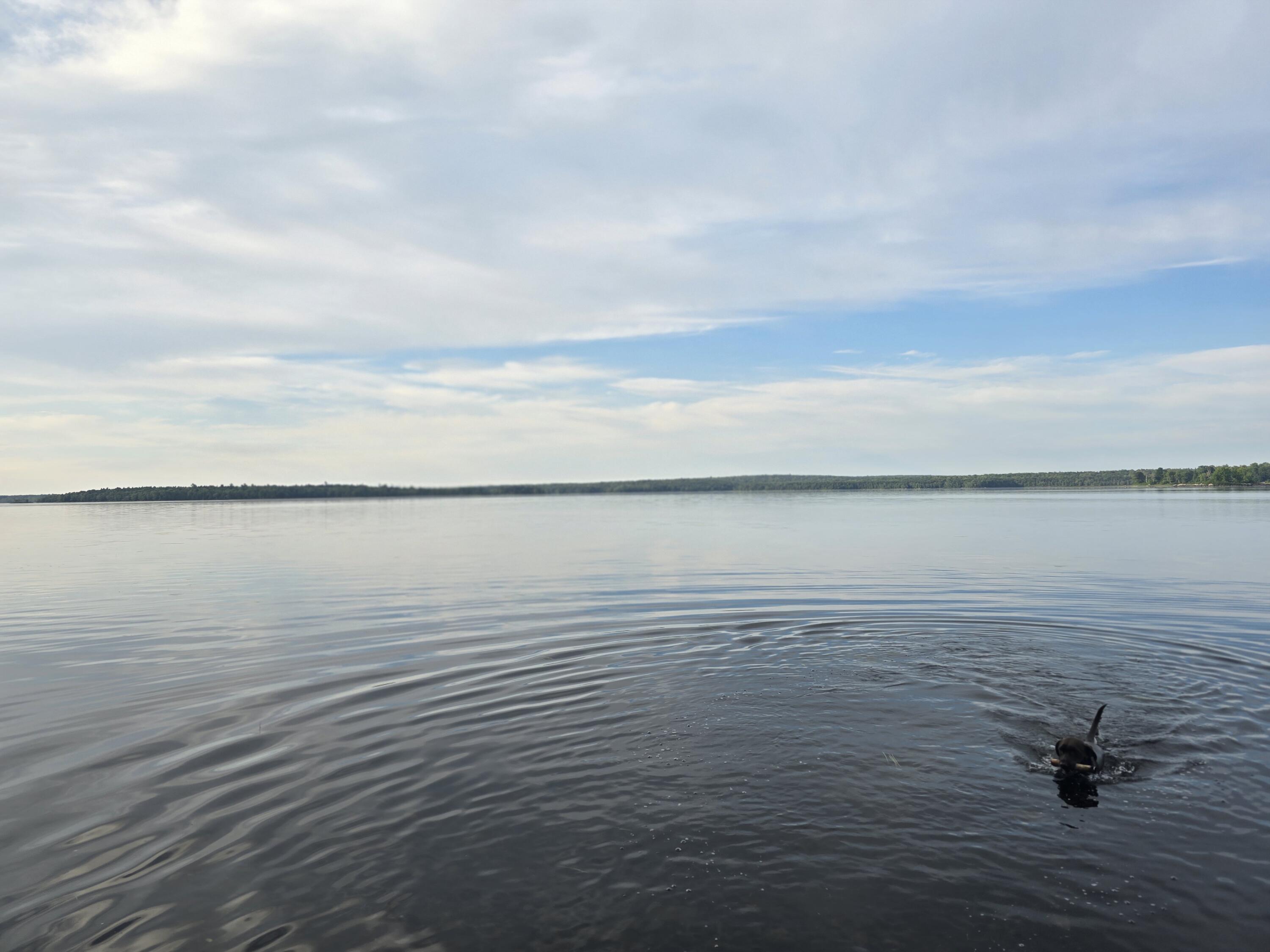 Lot 2 Townline Rock Rd Island Falls Island Falls, ME 04747 - Photo 12 of 27 20250902_073935