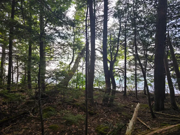 $130,000 | Lot 2 Townline Rock Rd Island Falls, Island Falls, ME 04747