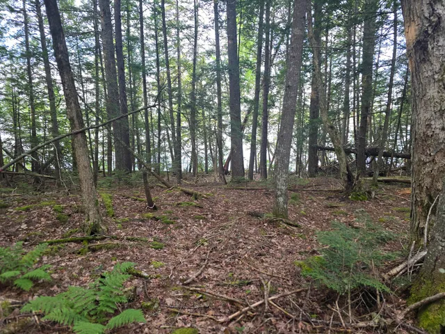 $130,000 | Lot 2 Townline Rock Rd Island Falls, Island Falls, ME 04747