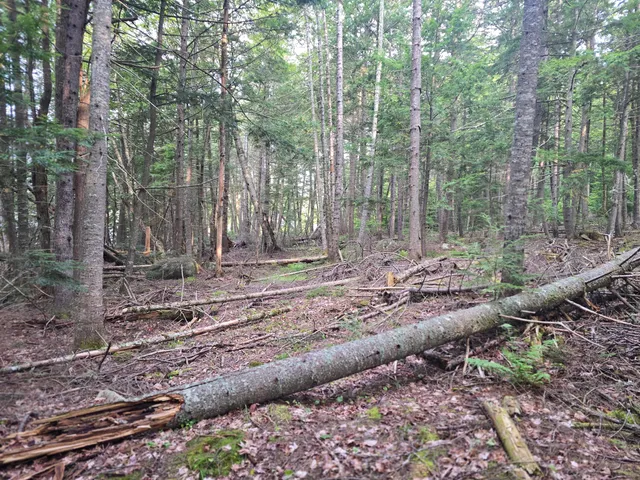 $130,000 | Lot 2 Townline Rock Rd Island Falls, Island Falls, ME 04747
