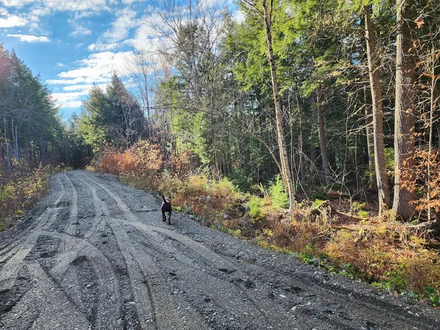 $130,000 | Lot 2 Townline Rock Rd Island Falls, Island Falls, ME 04747