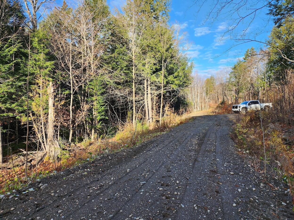 Lot 2 Townline Rock Rd Island Falls Island Falls, ME 04747 - Photo 21 of 27 20251103_082116