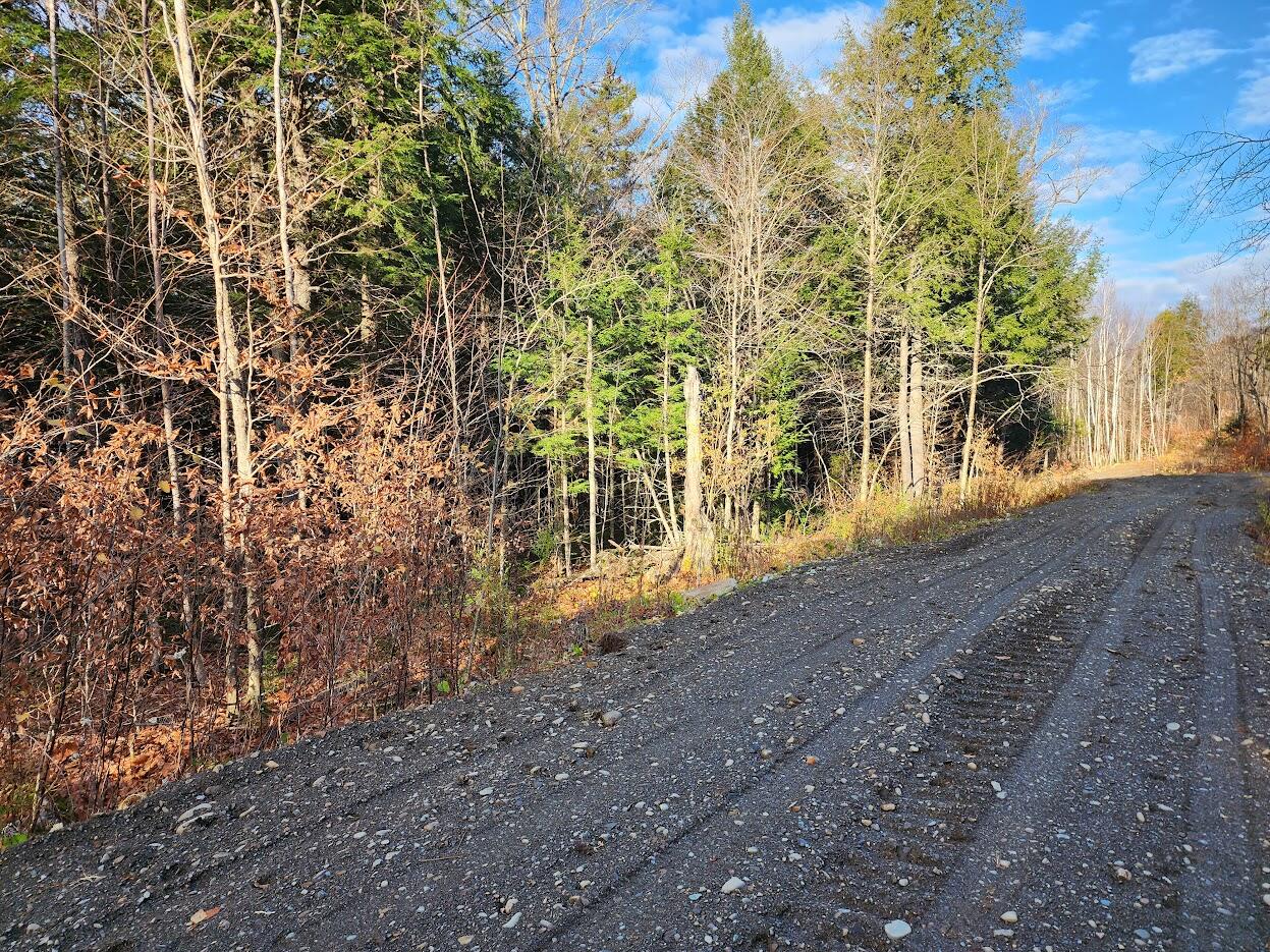 Lot 2 Townline Rock Rd Island Falls Island Falls, ME 04747 - Photo 22 of 27 20251103_082126
