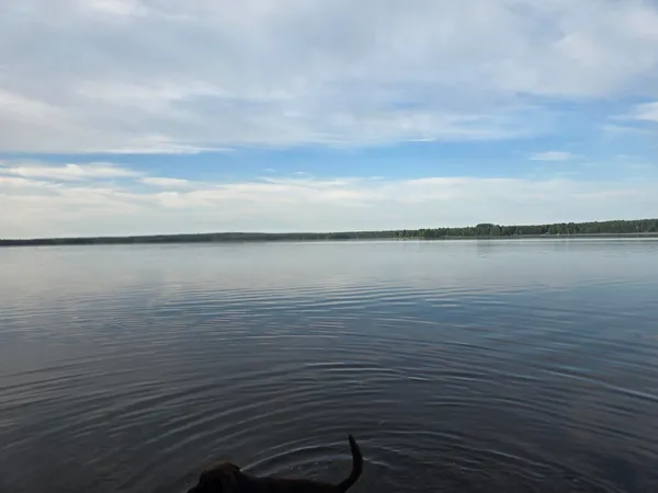 $130,000 | Lot 2 Townline Rock Rd Island Falls, Island Falls, ME 04747