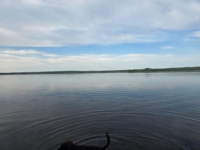 $130,000 | Lot 2 Townline Rock Rd Island Falls, Island Falls, ME 04747