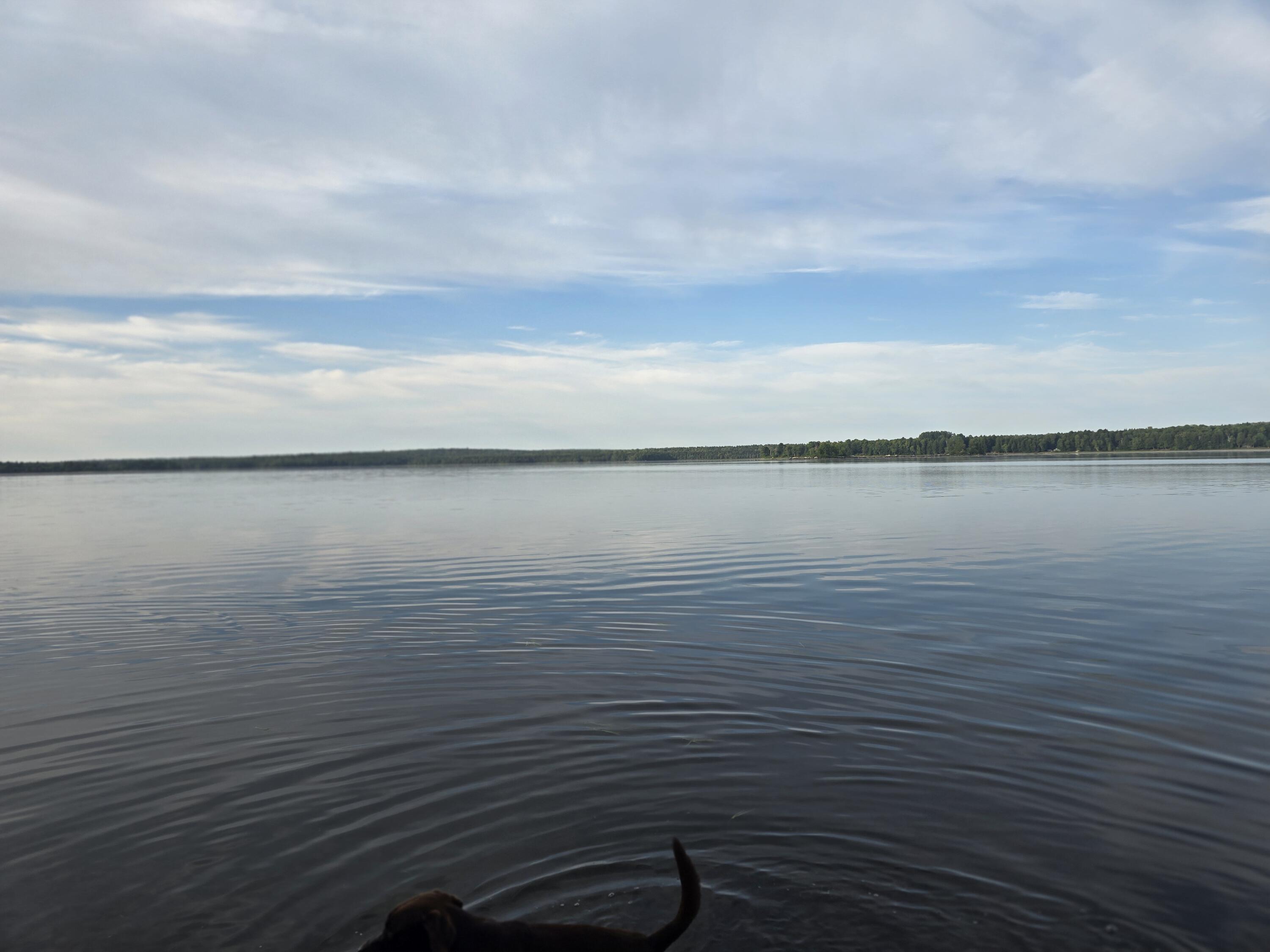 Lot 2 Townline Rock Rd Island Falls Island Falls, ME 04747 - Photo 4 of 27 20250902_073907