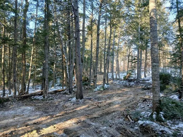 $130,000 | Lot 2 Townline Rock Rd Island Falls, Island Falls, ME 04747