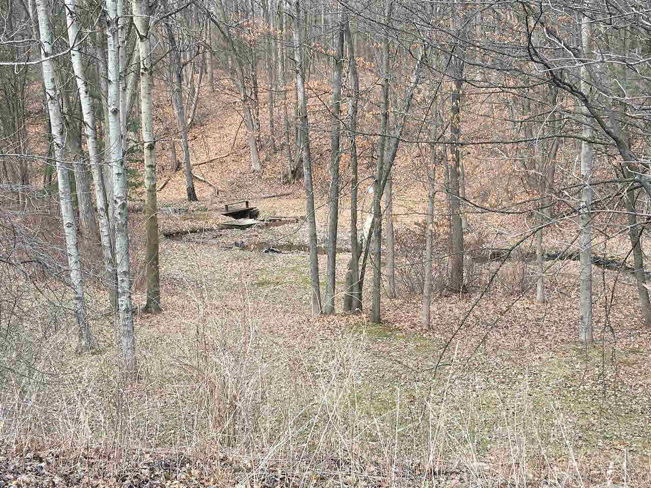 8077 North McKinley Road Flushing, MI 48433 - Photo 38 of 58 Looking into the Valley