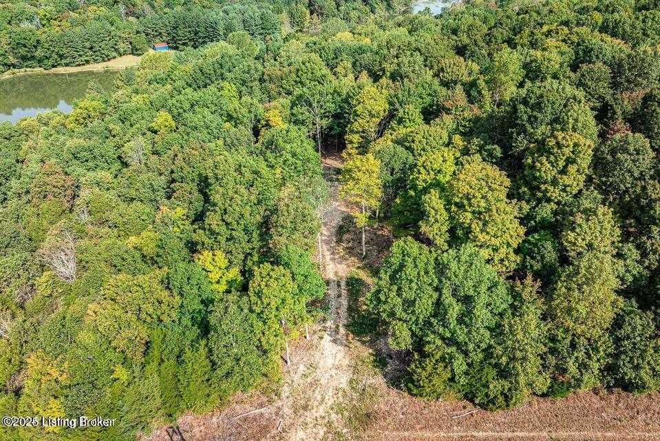11451 Leitchfield Road Cecilia, KY 42724 - Photo 9 of 21 20240909183554593957000000-o