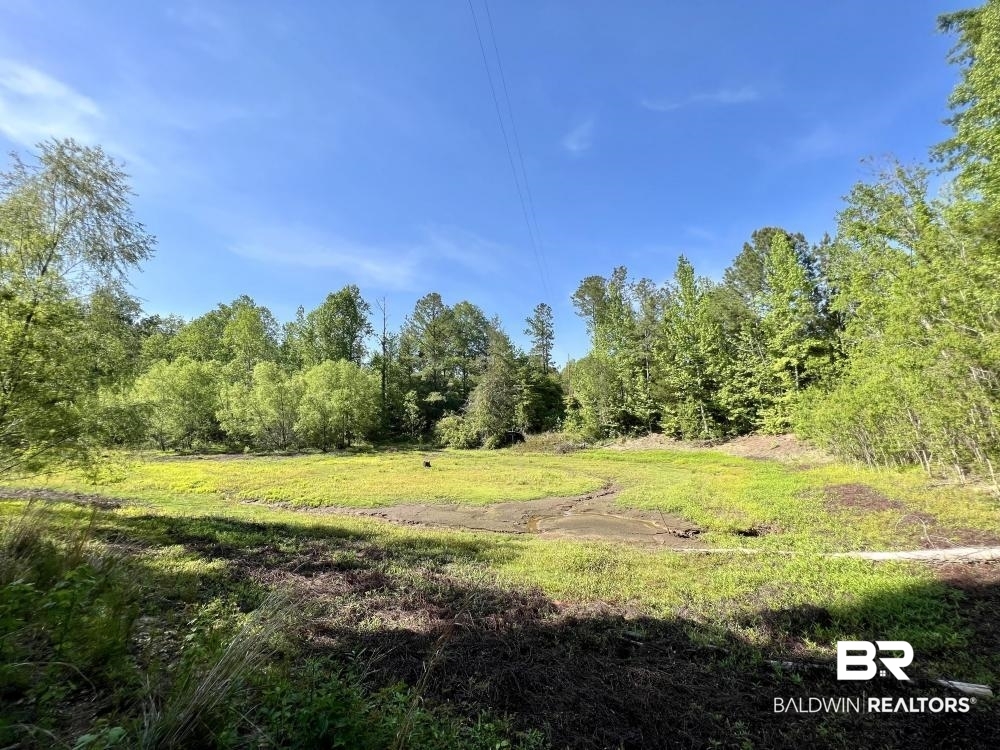 0 Fluker Kiel Road Coffeeville, AL 36524 - Photo 17 of 34
