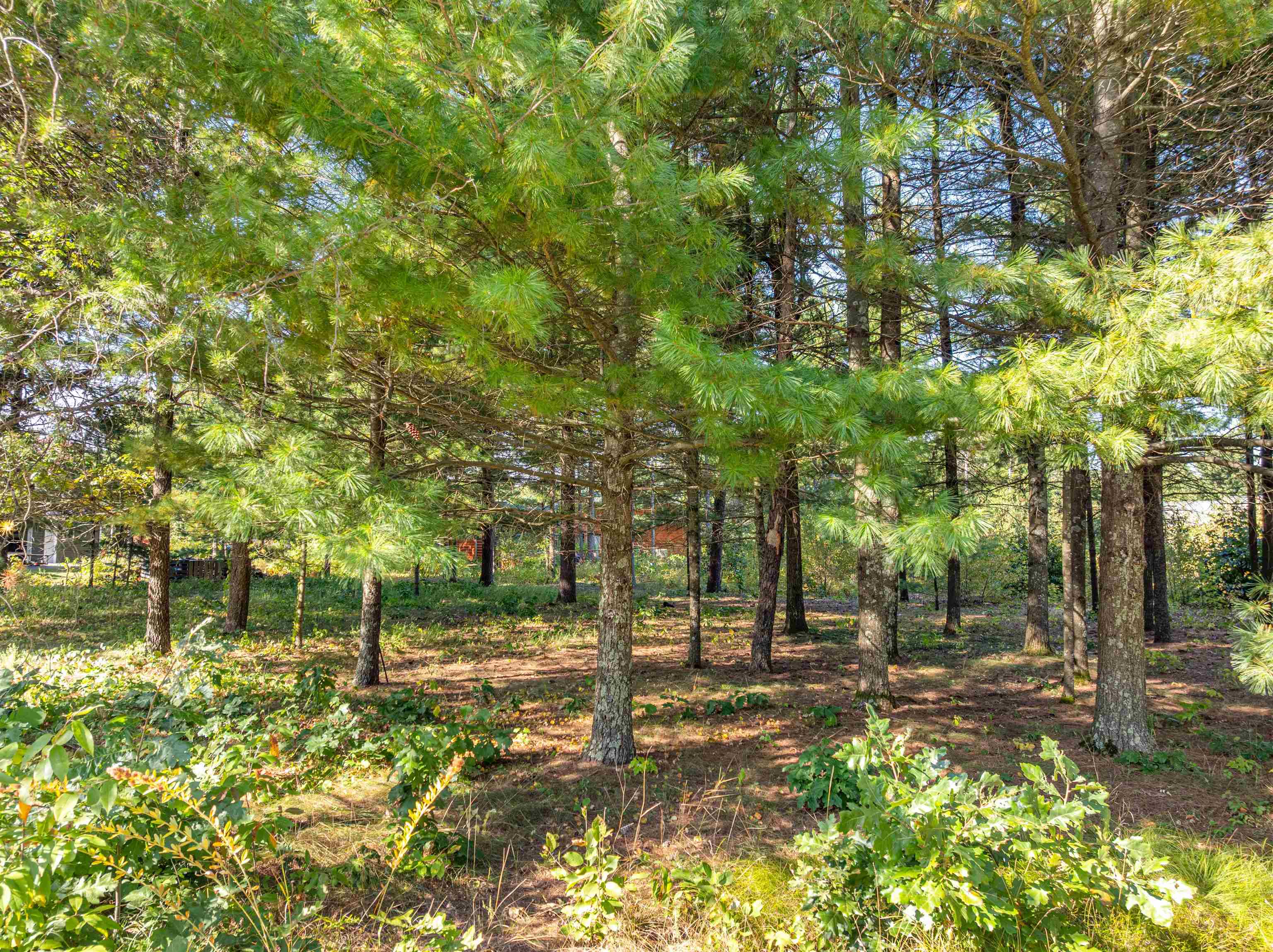 119 Sunset Circle Wisconsin Dells, WI 53965 - Photo 1 of 50