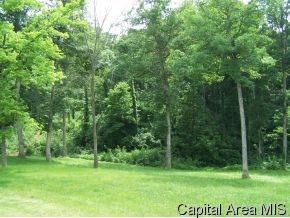 14372 Spillway Road Girard, IL 62640 - Photo 4 of 12