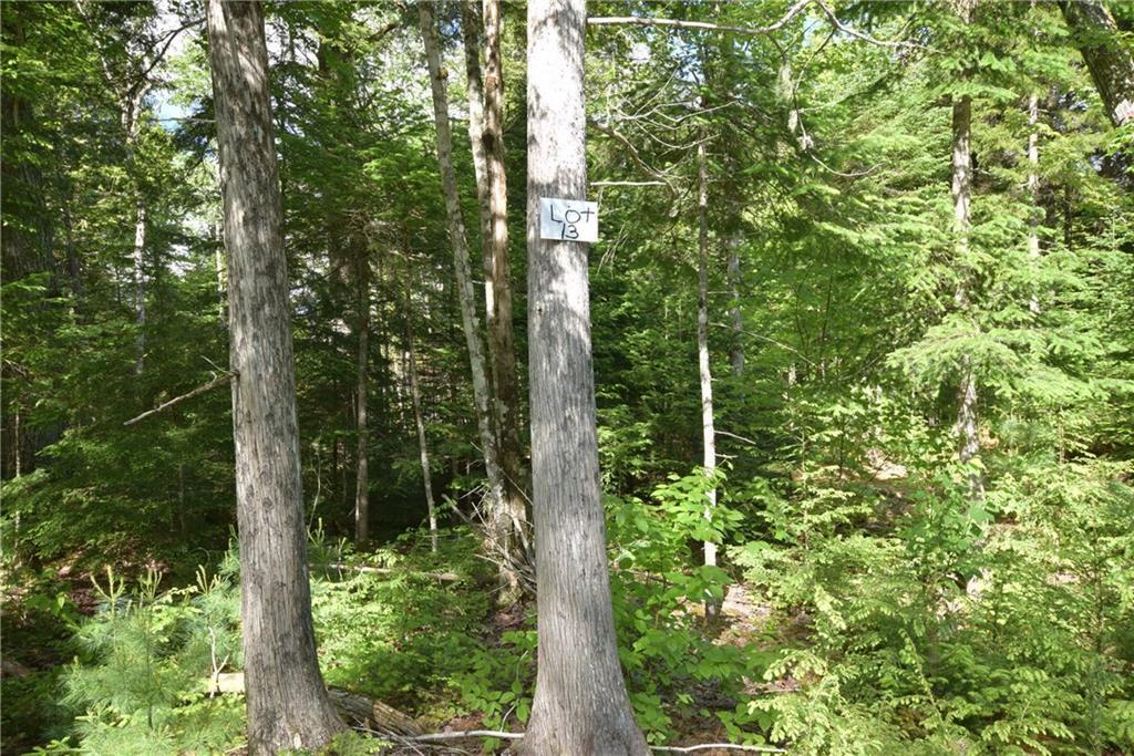 Lot 13 Little Stream Road Lincoln, ME 04457 - Photo 2 of 6 Photo