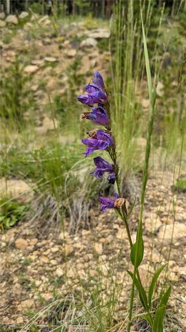 a view of a yard covered with snow