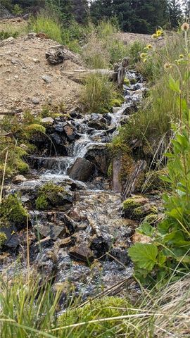 $310,000 | 0 Ute Creek Road, Idaho Springs, CO 80452
