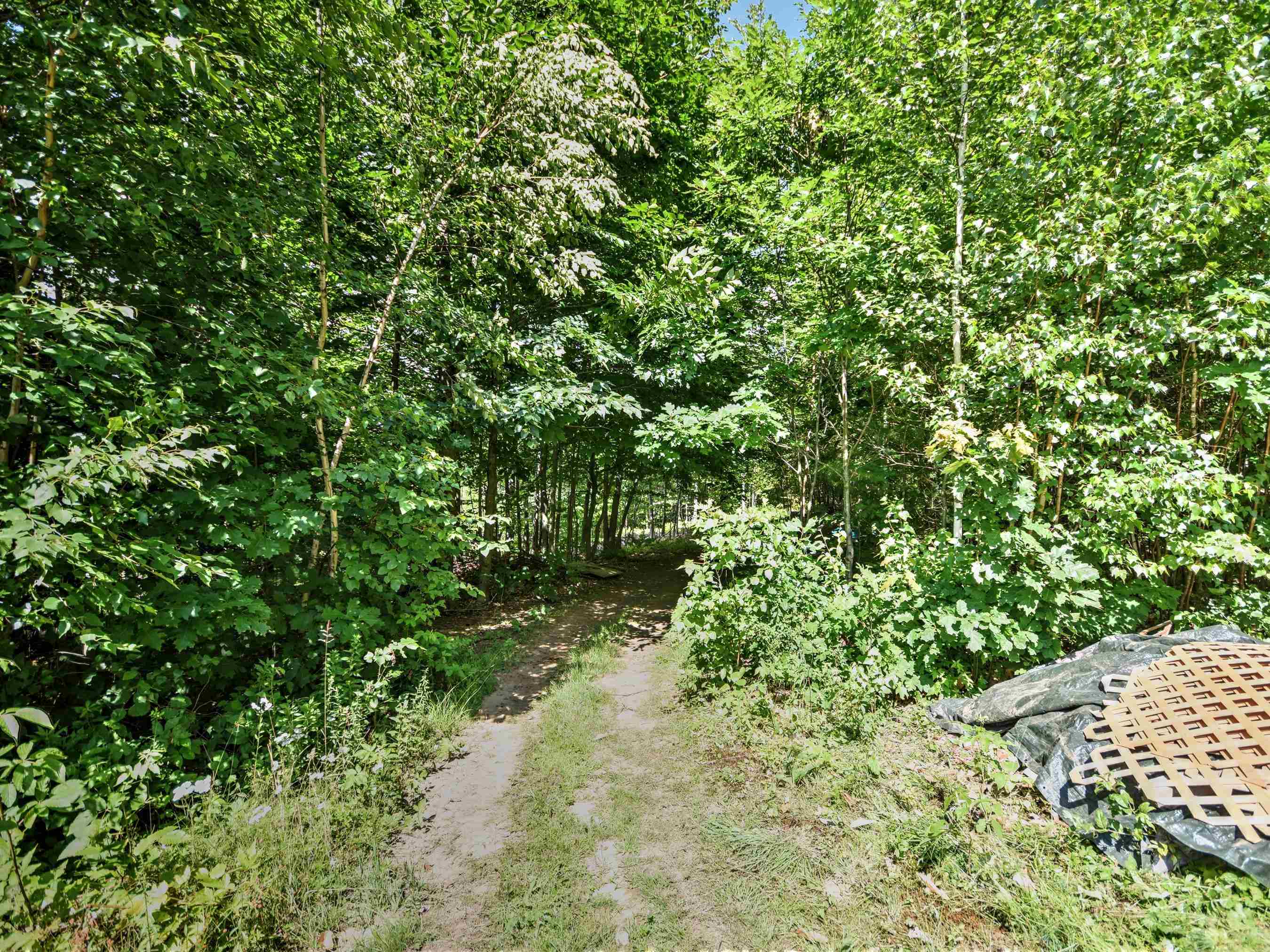 54 Boynton Road New Hampton, NH 03256 - Photo 35 of 40