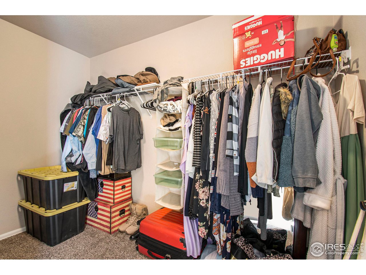 8524 15th St Road Greeley, CO 80634 - Photo 13 of 29 Primary walk-in closet.