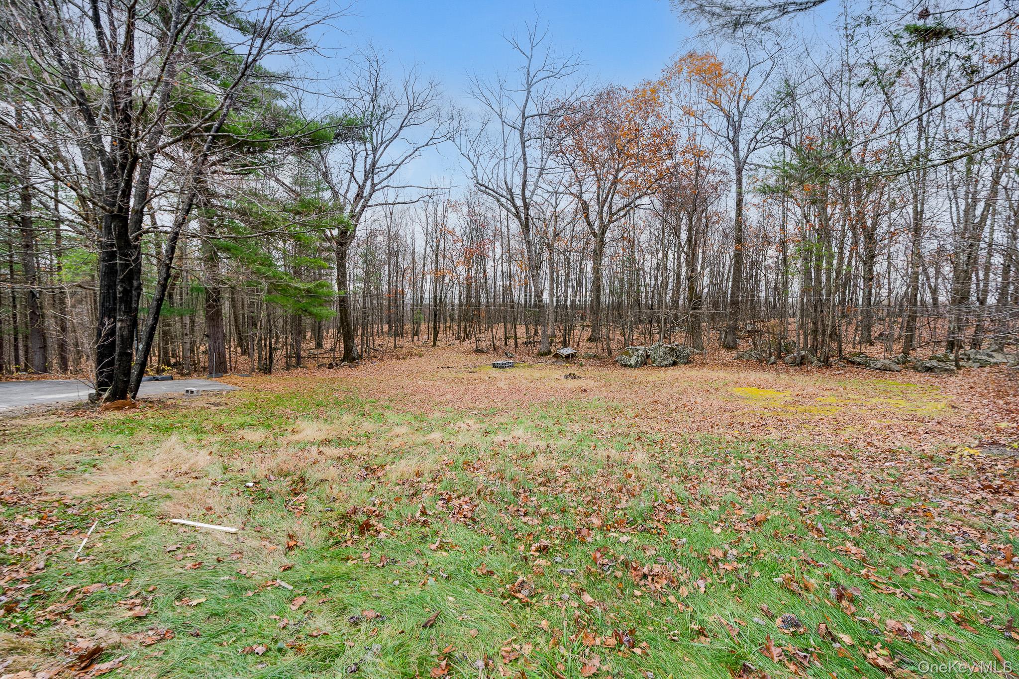 356 Sands Road Middletown, NY 10941 - Photo 3 of 22 a view of outdoor space with trees