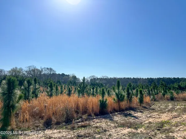 $174,305 | Liberty Church Road, Newton, MS 39345