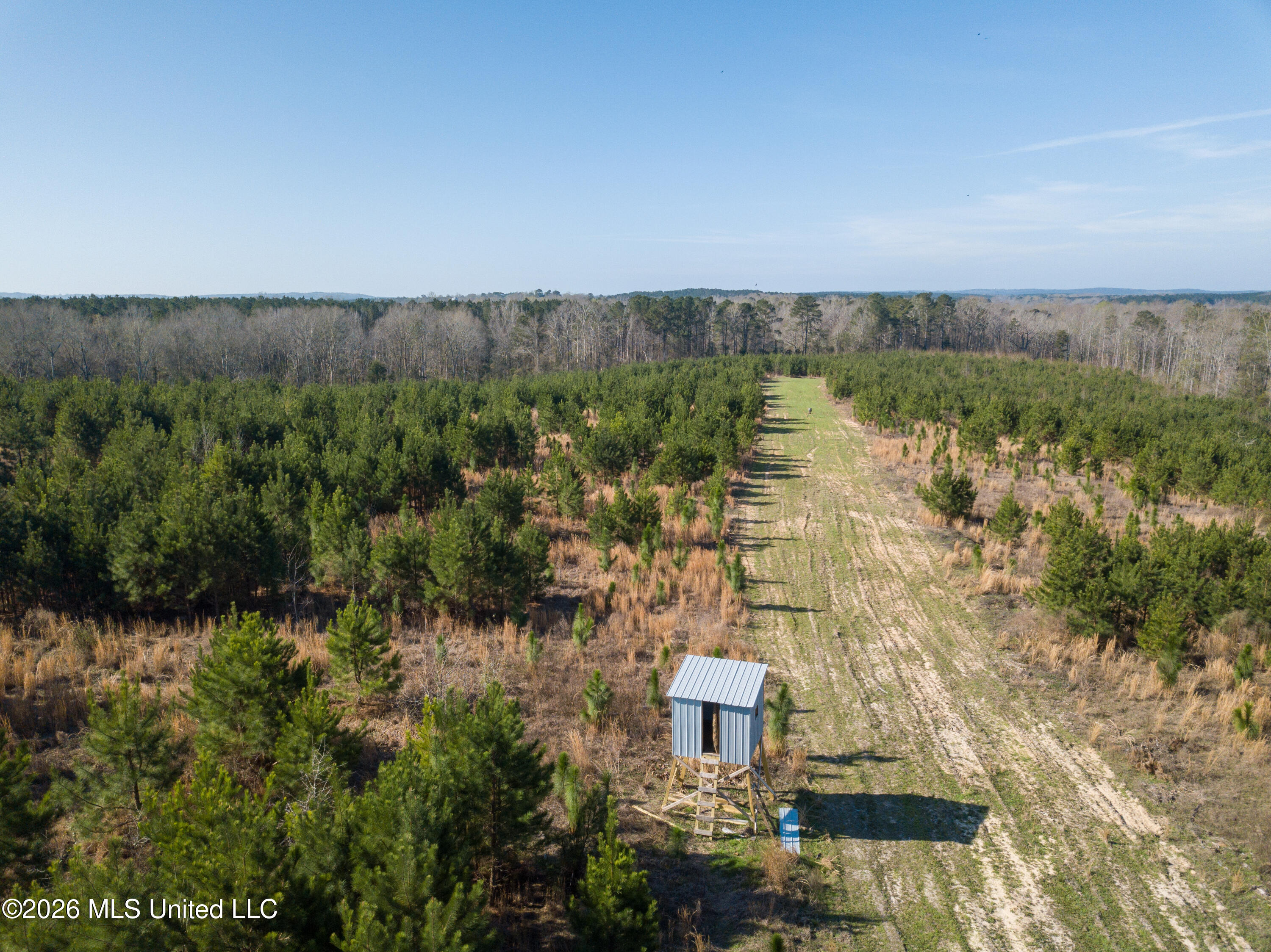 Liberty Church Road Newton, MS 39345 - Photo 15 of 49 DJI_0765