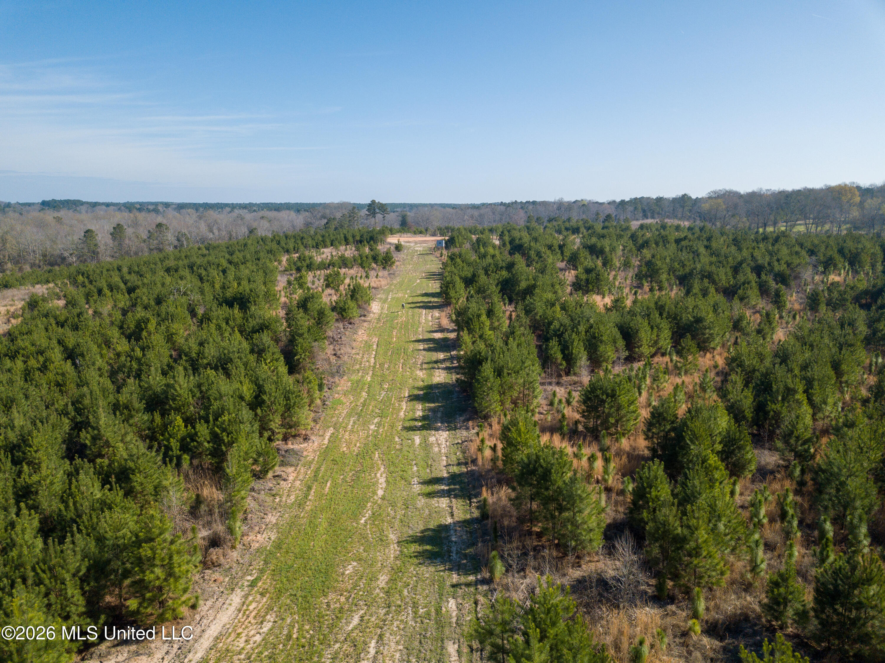 Liberty Church Road Newton, MS 39345 - Photo 16 of 49 DJI_0766