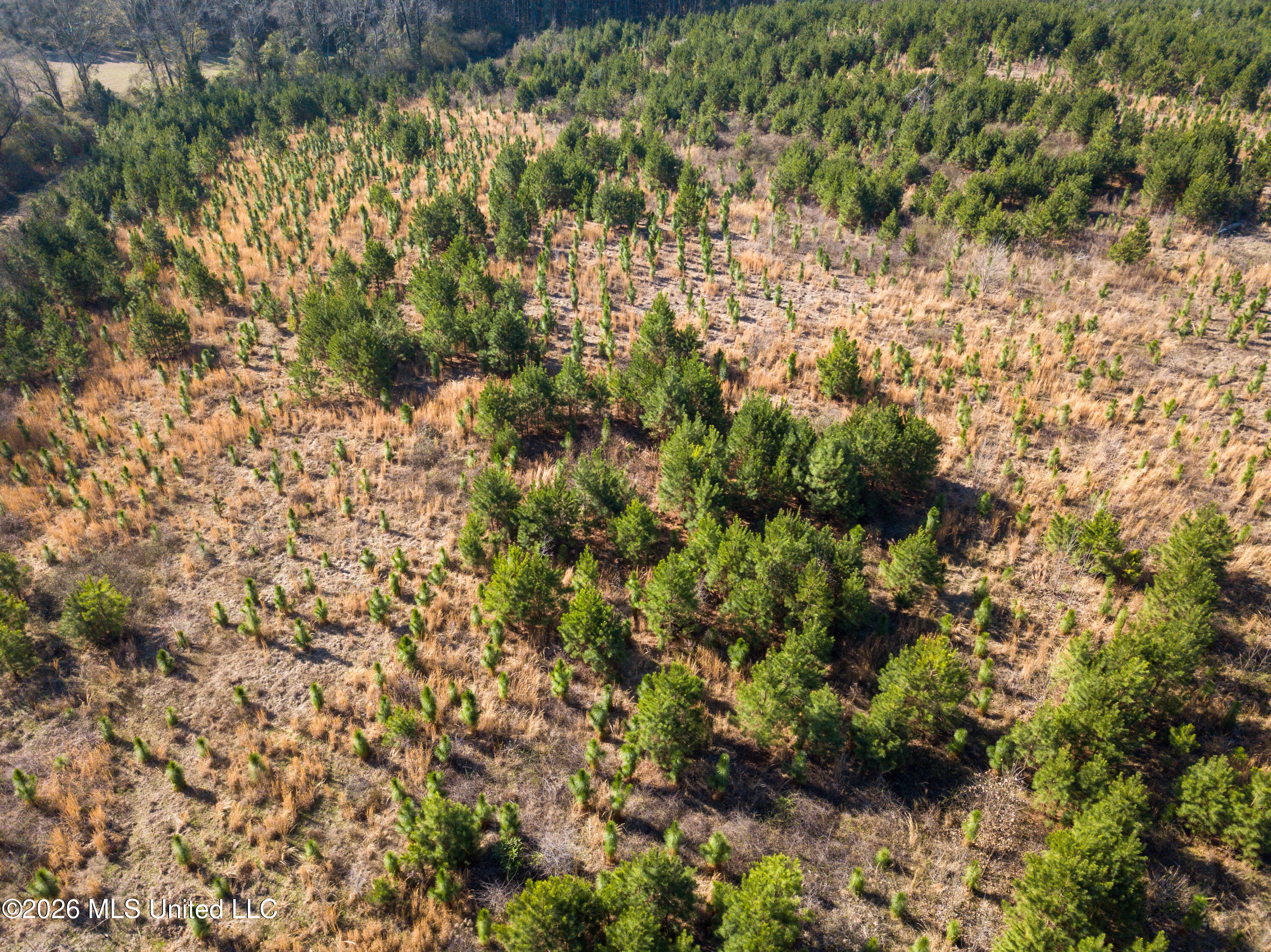 Liberty Church Road Newton, MS 39345 - Photo 18 of 49 DJI_0769