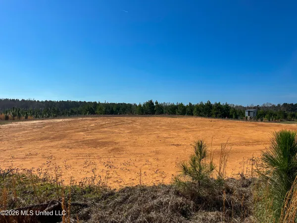 $174,305 | Liberty Church Road, Newton, MS 39345