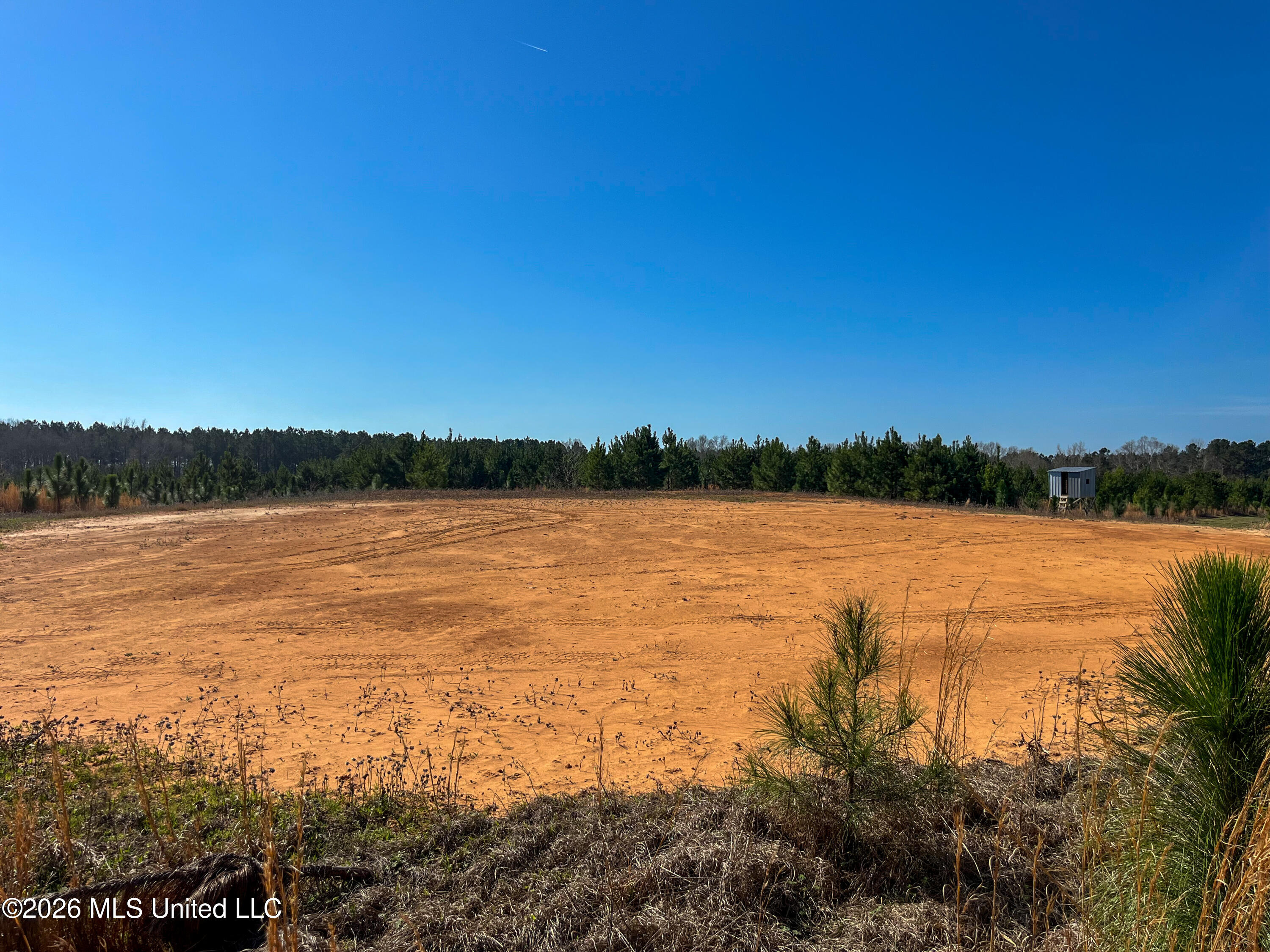 Liberty Church Road Newton, MS 39345 - Photo 20 of 49 IMG_2544