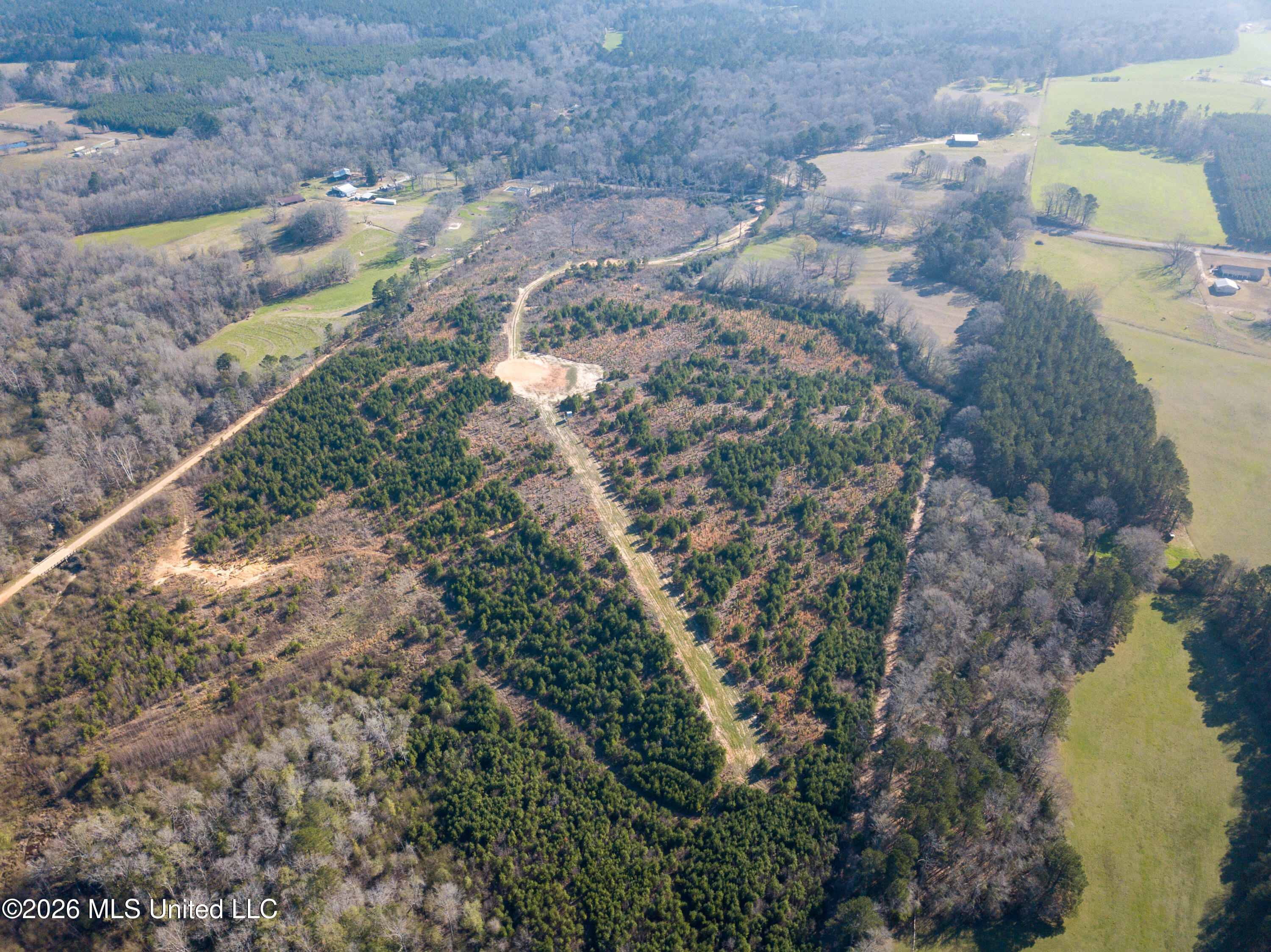 Liberty Church Road Newton, MS 39345 - Photo 2 of 49 DJI_0751