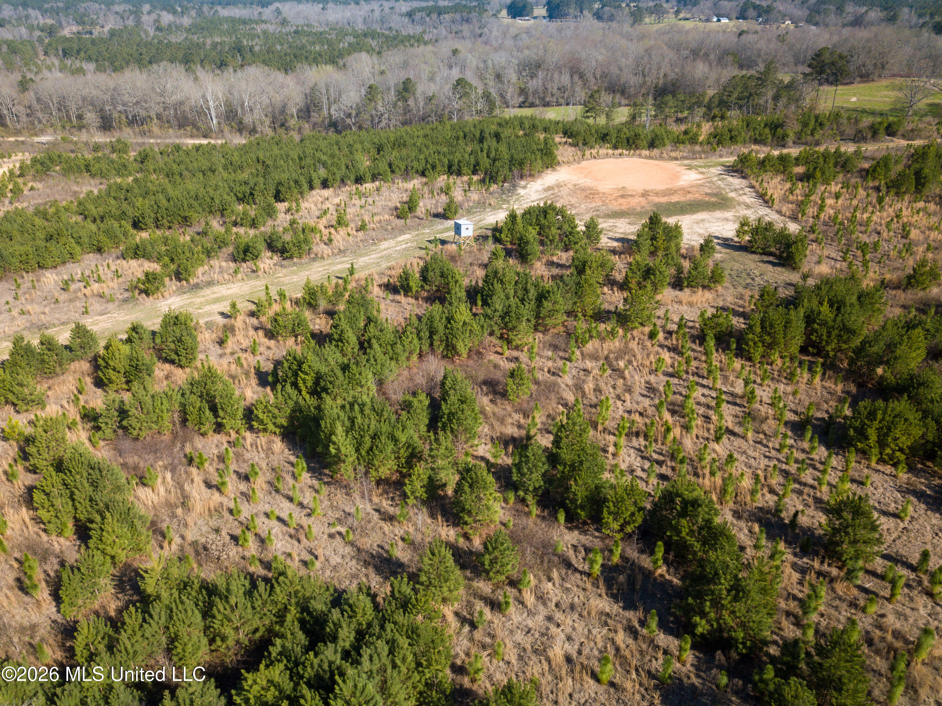 Liberty Church Road Newton, MS 39345 - Photo 21 of 49 DJI_0773