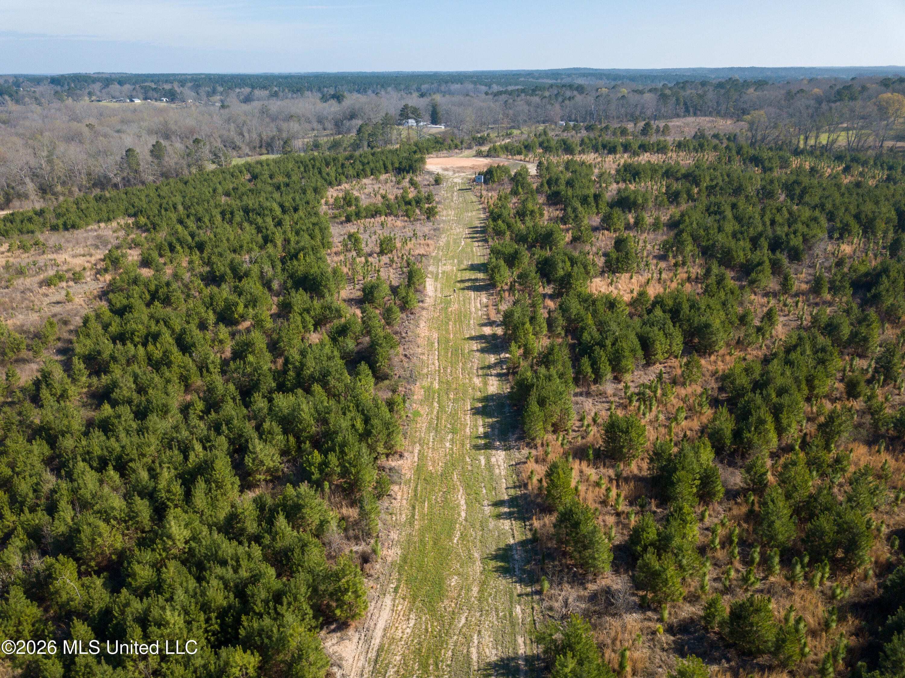 Liberty Church Road Newton, MS 39345 - Photo 22 of 49 DJI_0774