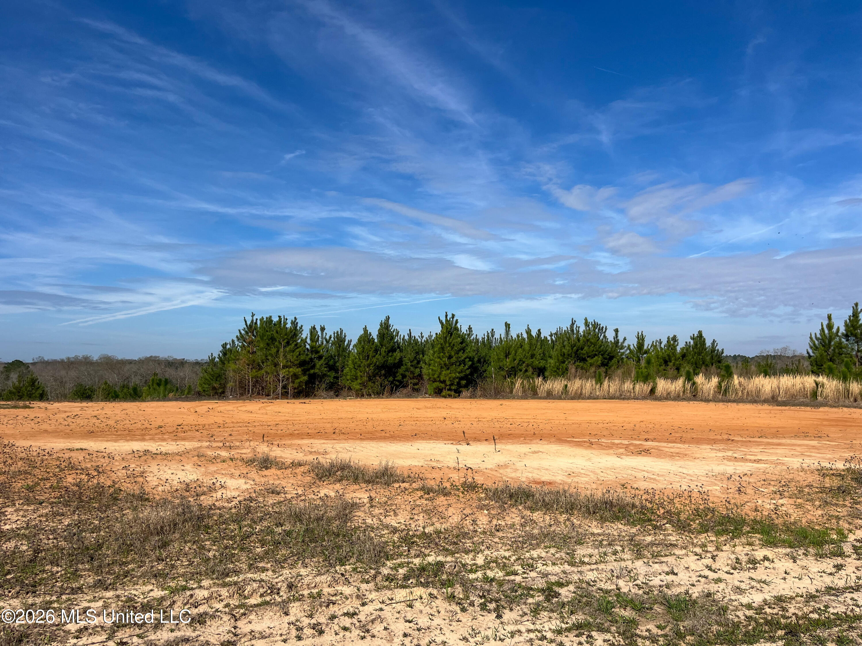 Liberty Church Road Newton, MS 39345 - Photo 23 of 49 IMG_2542