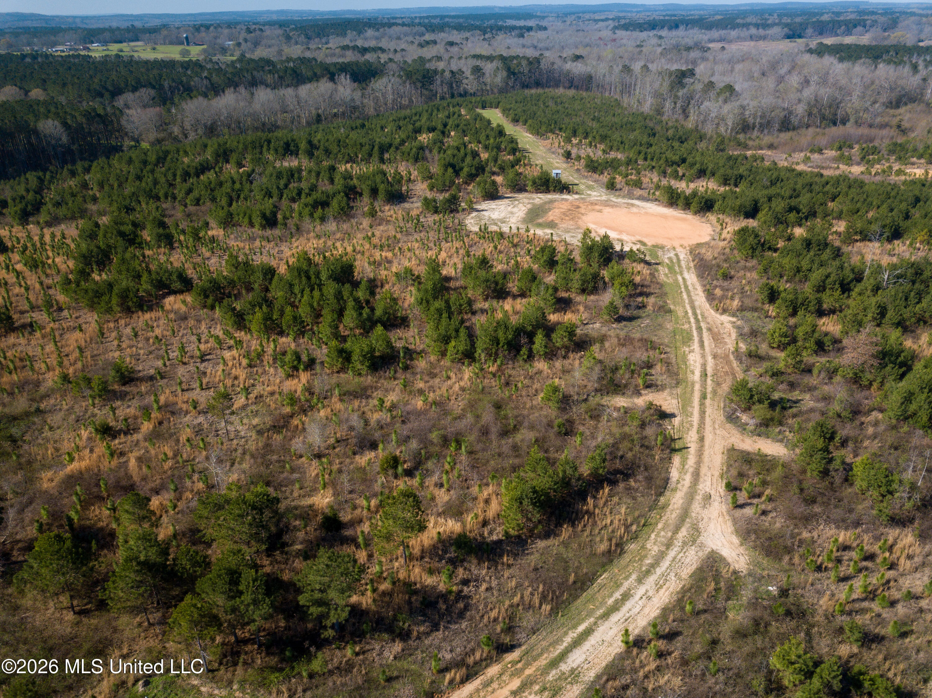 Liberty Church Road Newton, MS 39345 - Photo 24 of 49 DJI_0778
