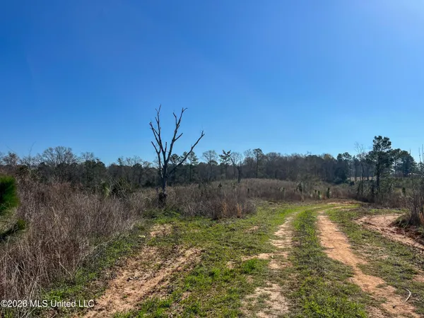 $174,305 | Liberty Church Road, Newton, MS 39345