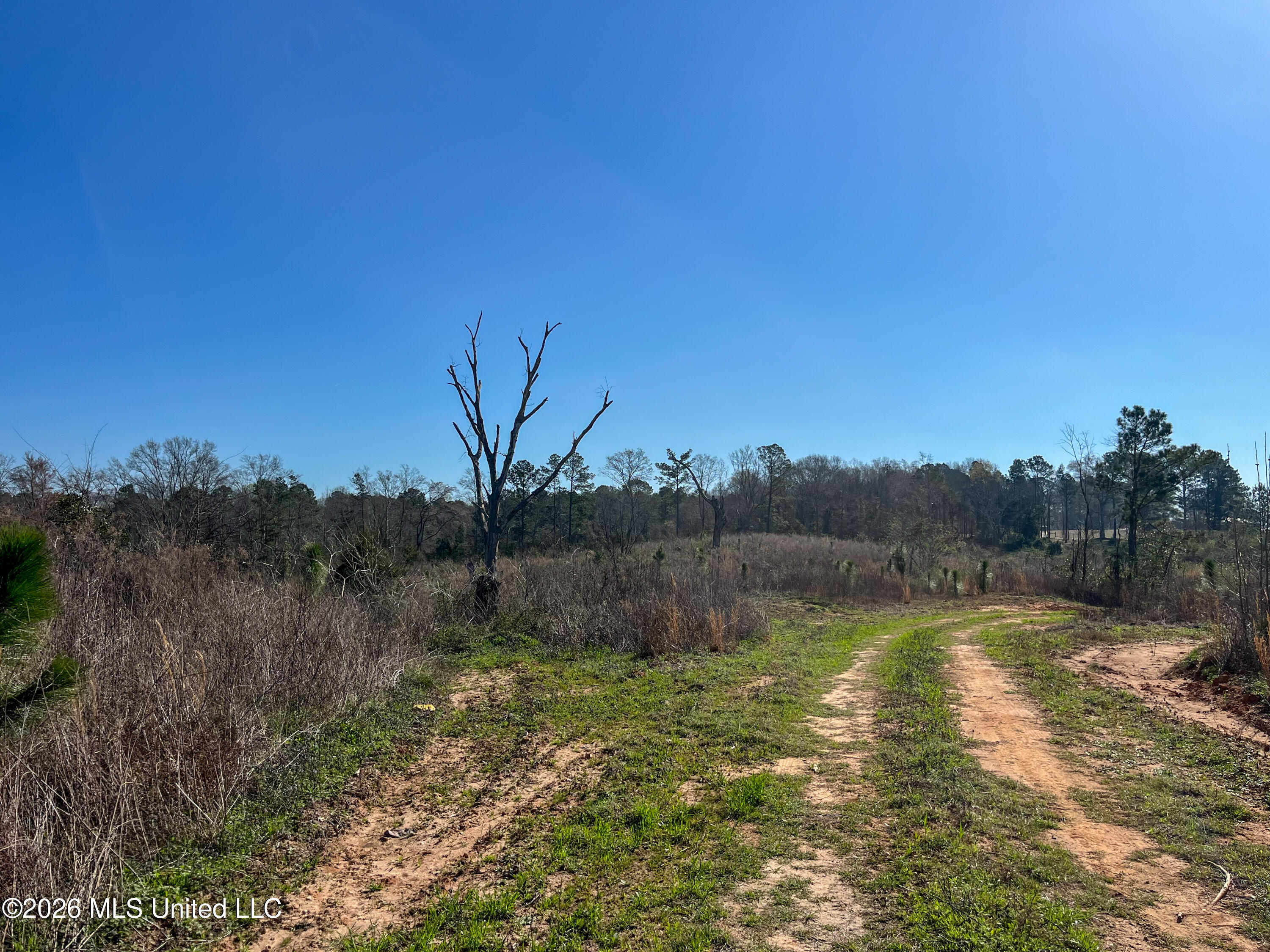 Liberty Church Road Newton, MS 39345 - Photo 26 of 49 IMG_2530