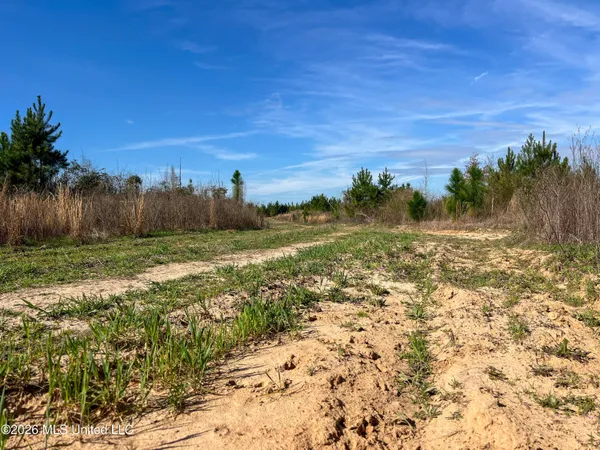 $174,305 | Liberty Church Road, Newton, MS 39345
