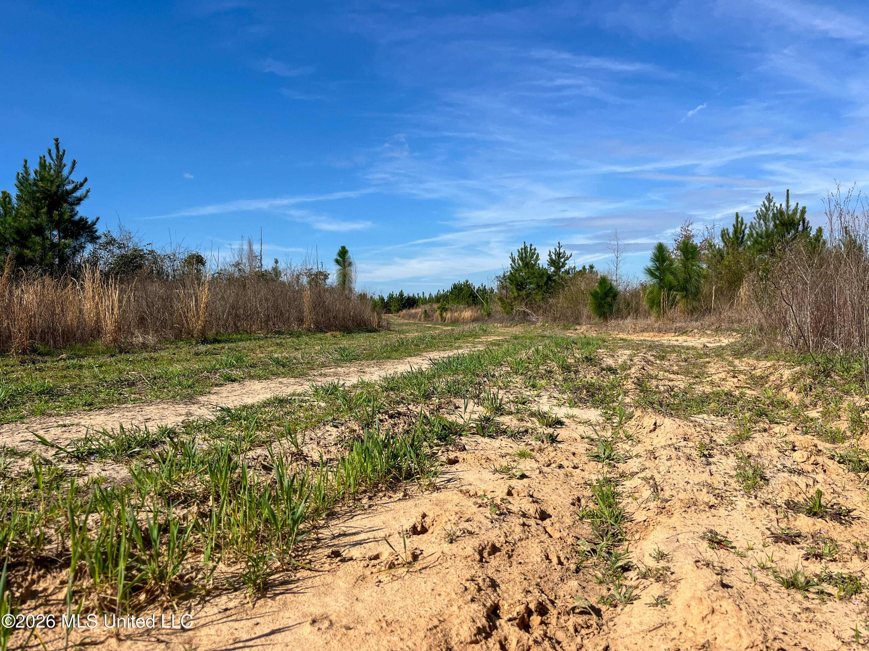 Liberty Church Road Newton, MS 39345 - Photo 27 of 49 IMG_2531