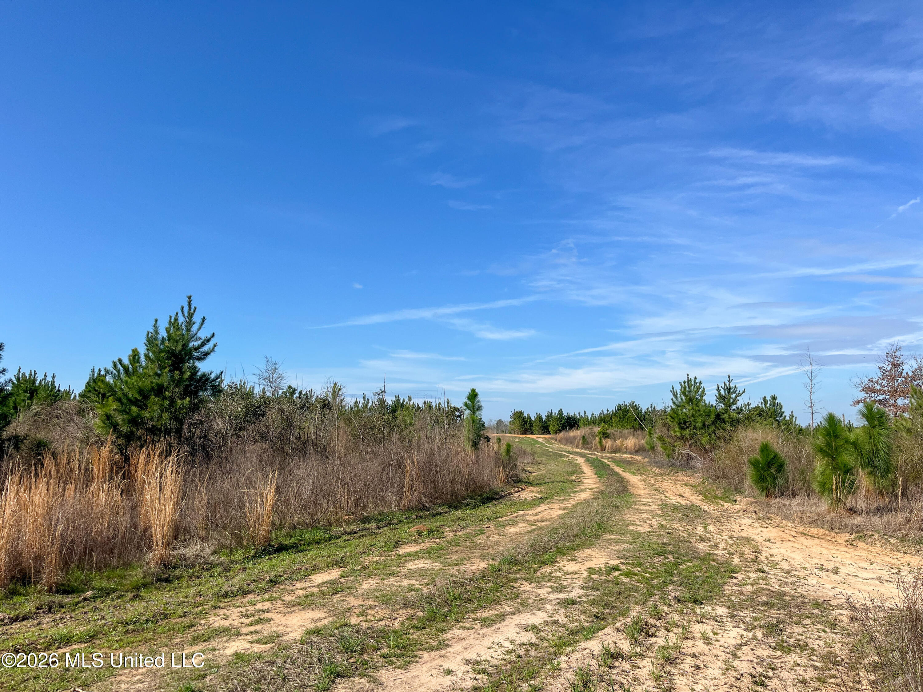 Liberty Church Road Newton, MS 39345 - Photo 28 of 49 IMG_2532